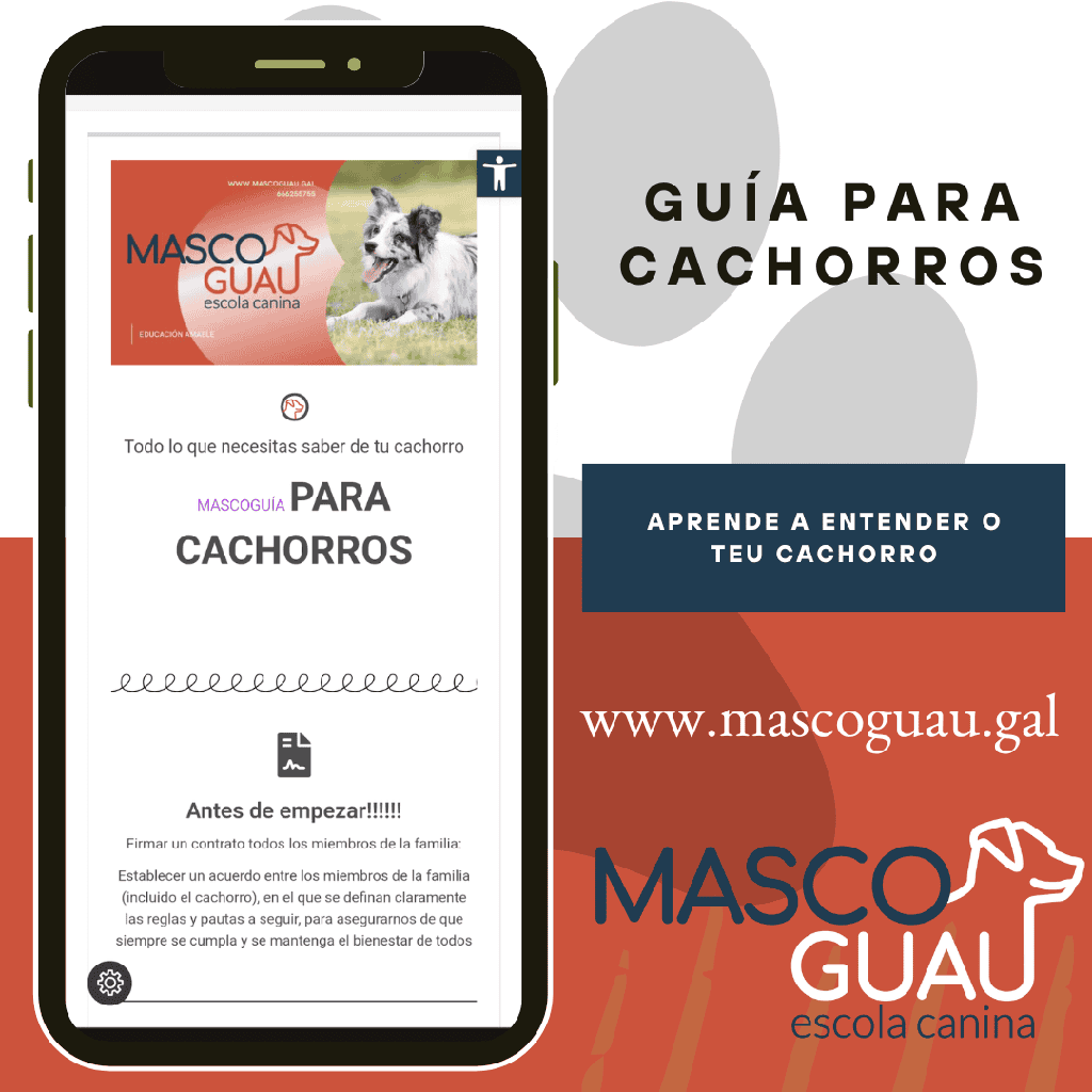 Guía para cachorros