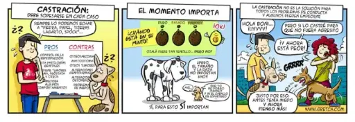 GUÍA INFORMATIVA SOBRE LA CASTRACIÓN Y ESTERILIZACIÓN EN PERROS