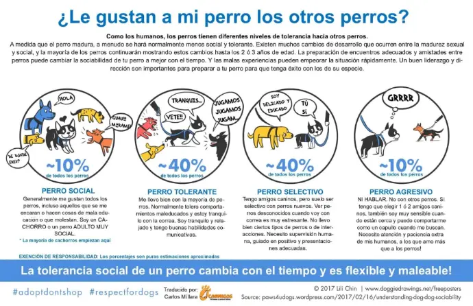 “¿Mi perro es sociable?”