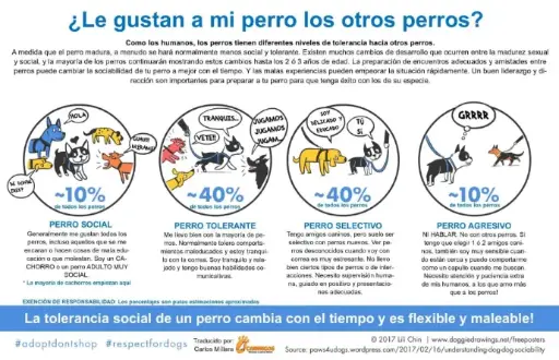 “¿Mi perro es sociable?”