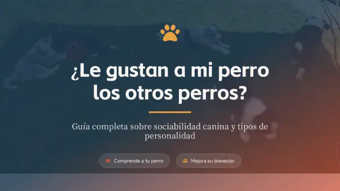 ¿LE GUSTAN A MI PERRO LOS OTROS PERROS?