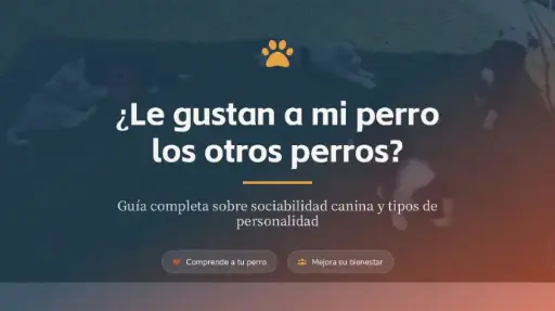 ¿LE GUSTAN A MI PERRO LOS OTROS PERROS?