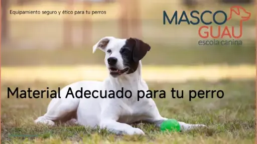 MATERIAL ADECUADO PARA TU PERRO