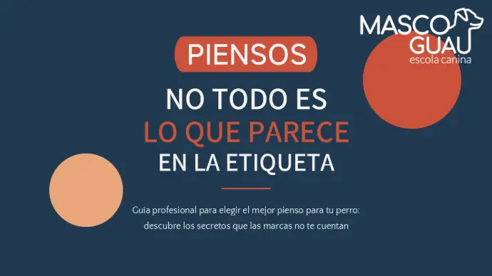 PIENSOS, NO TODO ES LO QUE PARECE