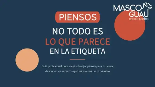 PIENSOS, NO TODO ES LO QUE PARECE